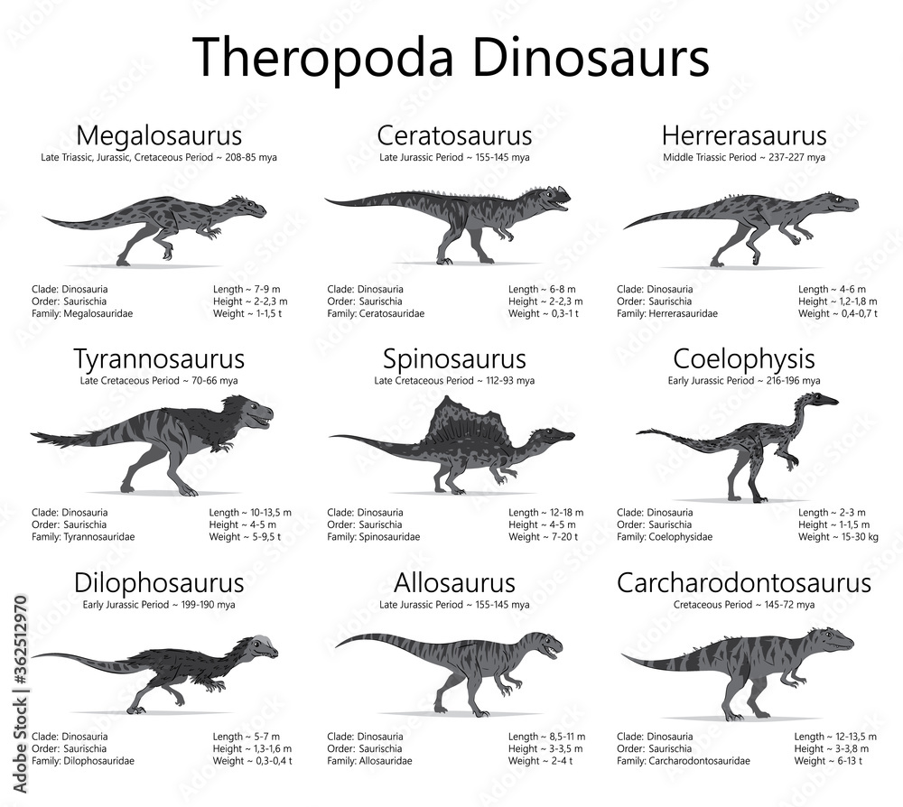 Inosaurus Theropoda dinosaurs. Monochrome vector illustration of dinosaurs ...