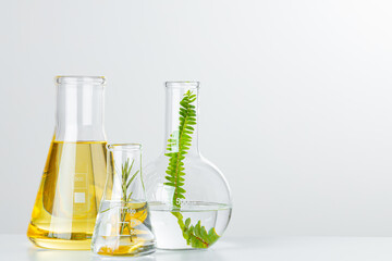 plants in laboratory glassware. skincare products and drugs chemical researches concept