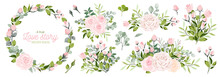 Vector. Wreaths. Botanical Collection Of Wild And Garden Plants. Set: Leaves, Flowers, Branches, Pink Roses,floral Arrangements, Natural Elements