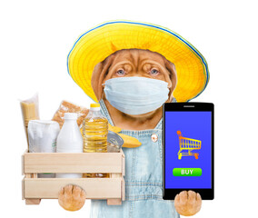 Poster - Delivery dog wearing summer hat, overalls and  protective medical mask holds box with grocery. Food delivery or safe shopping during coronavirus outbreak