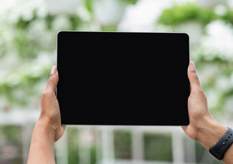 Wall Mural - Industrial cultivation of potted plants with modern technology. Hands of african american girl with smartwatch holding tablet with empty screen on greenhouse background