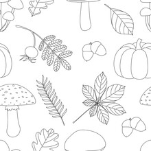 Seamless Pattern Autumn Mushrooms And Leaves Pumpkin Rose Hip Acorns  Vector Illustration Black And White Colors