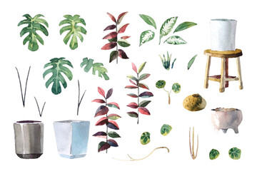 Water color indoor plants (Monstera, Lady Palm, Chinese Evergreen, Rubber Plant and Stephania Erecta)arrange isolated set on white background illustration vector. Suitable for various design elements.
