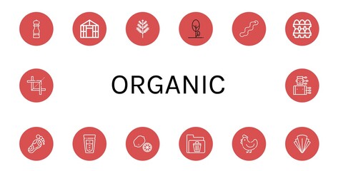 Sticker - organic icon set