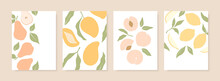 Stylish Cover Designs With Summer Fruits. Vector Templates For Postcards, Print, Posters, Brochures, Etc. Trendy Hand Drawn Illustration.