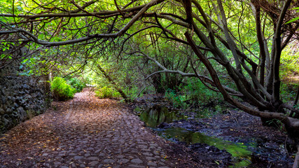 Azuaje Nature Reserve in Gran Canaria