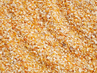 Wall Mural - dried corn seed for background, corn for animal feed