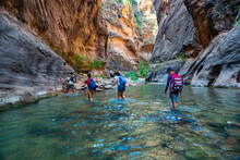 Group Of Diverse People Hiking Through A River At Zion National Park. Exploring The Beauty Of The Narrows And The Beautiful Canyons Of The Narrows