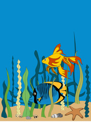 Wall Mural - yellow and red and blue tropical fishes underwater