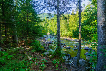 Wall Mural - Sainte-Anne-du-Nord River, in Gaspesie National Park