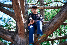 Teenage Boy Playing Outdoor, Climbing A Tree, Bright Sunlight, Beautiful Day