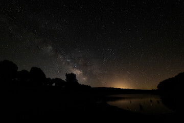 Wall Mural - Milky way over a pine forest. Granadilla. Spain.