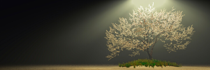 almond trees