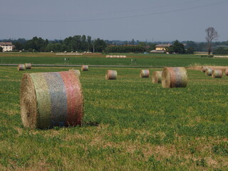 Wall Mural - agricoltura