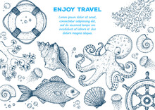 Sea Animals Hand Drawn Collection. Sketch Illustration. Octopus, Jellyfish, Fish, Seaweed, Seashells, Coral Illustration. Vintage Design Template. Undersea World.