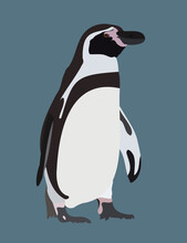 Penguin Logo Graphic