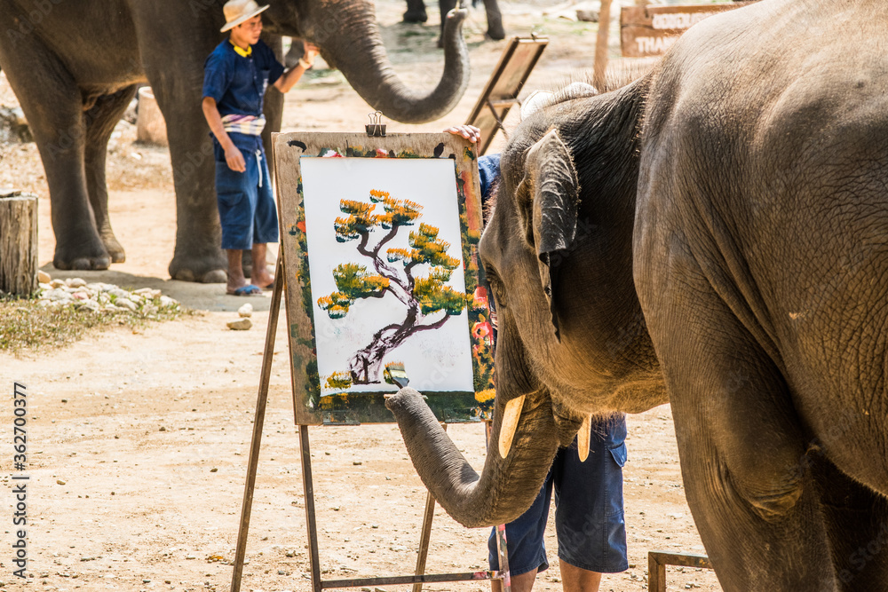 Elephant Painting On Canvas Using Paintbrush - obrazy, fototapety, plakaty 