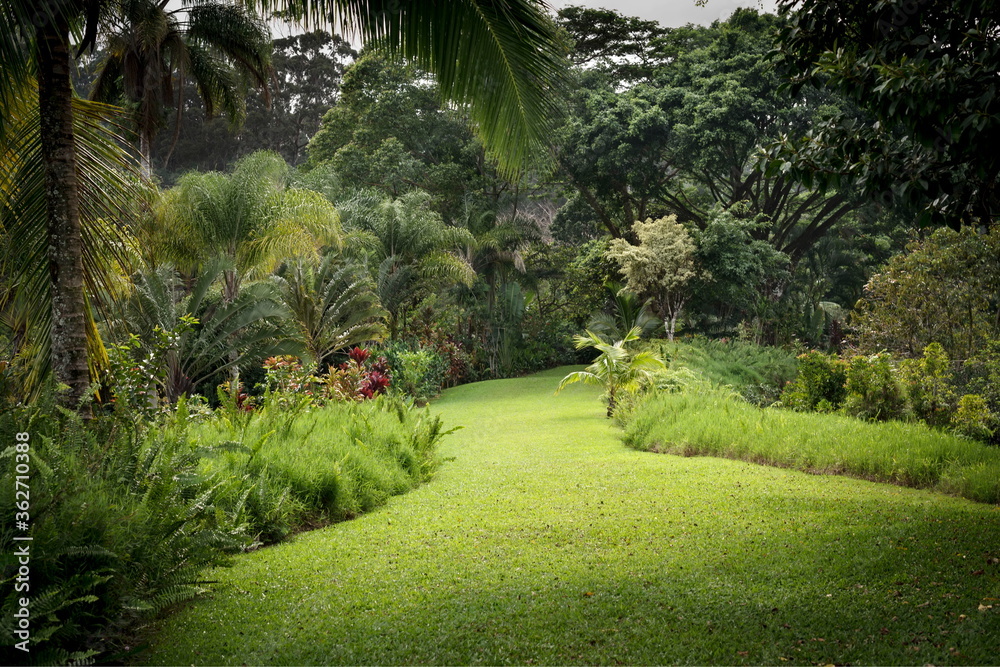 A view of the Garden of Eden in Maui, Hawaii. - obrazy, fototapety, plakaty 