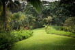 A view of the Garden of Eden in Maui, Hawaii.