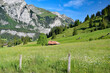 meadow near Kandersteg in Switzerland with mountains in the background and farmhouse