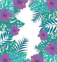 Wall Mural - tropical background with flowers purple color and tropical plants, decoration with flowers and tropical leaves vector illustration design