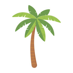 palm tree tropical nature exotic botanical isolated design icon