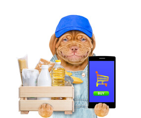 Poster - Delivery dog wearing blue cap and overalls holds box with grocery and shows smartphone. Food delivery or safe shopping during coronavirus outbreak