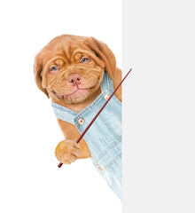 Poster - Dog worker wearing overalls points on empty white banner. isolated on white background