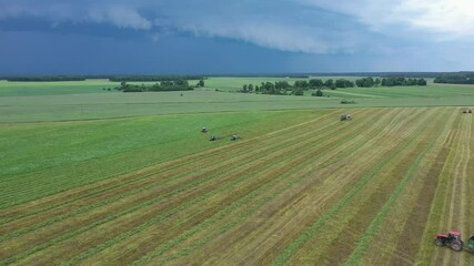 Wall Mural - Newly beveled hay on the field. Cutting alfalfa fieldand swathing with a swather. Tractor working at field. Haymaking in the countryside. Beautiful scenery and blue sky
