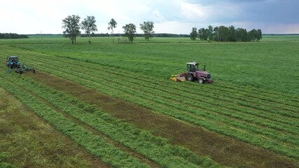 Wall Mural - Preparing hay for feeding animals. Cutting alfalfa fieldand swathing with a swather. Tractor working at field. Haymaking in the countryside. Beautiful scenery and blue sky
