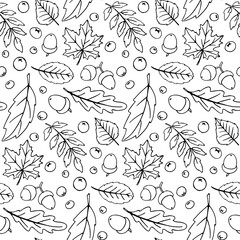 Wall Mural - Seamless pattern falling leaves, acorns, berries. Vector autumn texture isolated on white background, hand drawn in sketch style, black outline. Concept of forest, leaf fall, nature, thanksgiving