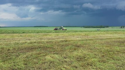 Wall Mural - Agriculture and agronomy concept. Cutting alfalfa fieldand swathing with a swather. Tractor working at field. Haymaking in the countryside. Beautiful scenery and blue sky
