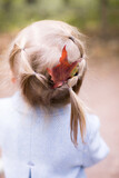 Fototapeta Zwierzęta - The little daughter inserted a red autumn leaf from a maple tree into her hair. Lovely moments with parents. Happy family and a walk in the forest.