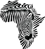Fototapeta Konie - Map of Africa made of zebra head and skin