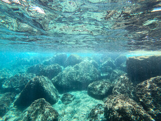 turquoise seabed. marine life under water. clear water of the ligurian sea. large stones at the bottom of the sea