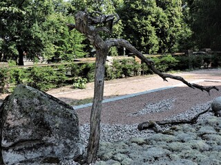 Wall Mural - tree and stone in the park, Helsinki