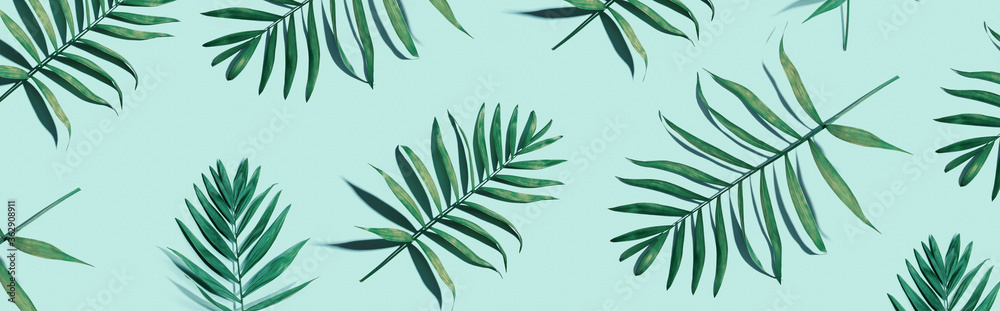 Tropical palm leaves from above - flat lay - obrazy, fototapety, plakaty 