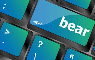 Poster - bear word on keyboard key, notebook computer button