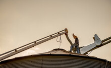 Farmer Unloading His Harvest Of Corn In Silo To Dry In An Agricultural Setting. 