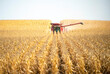 © Jamey Guy Photo - Farmer operates a combine during the agricultural harvest of corn in late fall.