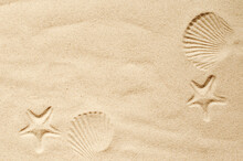 Top View Of A Sandy Beach, Texture Of Clean Sand Of A Natural Surface. Sand Background. Imprints Of Mollusks In The Sand.