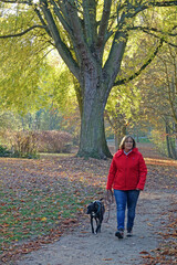 Poster - Frau mit Hund im Wald