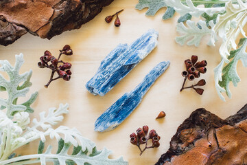 Poster - Blue Kyanite with Dusty Miller and Natural Elements