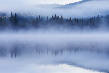  Summer morning in Mont-Tremblant national park