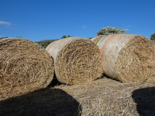 Sticker - Paesaggio agricolo