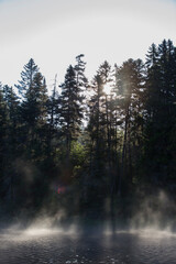 Wall Mural - Summer morning in Mont-Tremblant national park