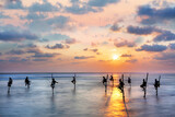 Fototapeta Miasta - Fishermen on stilts in silhouette at the sunset in Galle, Sri Lanka
