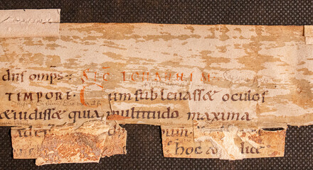 A fragment of John's Gospel from the New Testament from a manuscript of the tenth century on vellum