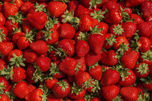 Fresh Ripe Perfect Strawberry - Food Frame Background. Fresh Strawberry As Texture Background. Natural Food Backdrop With Red Berries. Strawberries Sale In A Food Market In Summer.