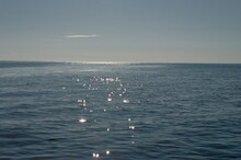 Sun Glare On The Calm Sea Surface